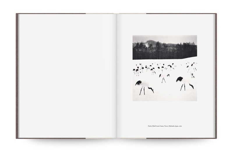 JAPAN / A LOVE STORY by マイケル ケンナ MICHAEL KENNA | Japan | A Love Story — Nazraeli Press