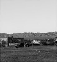 Dogs Chasing My Car in the Desert (9781590056103)