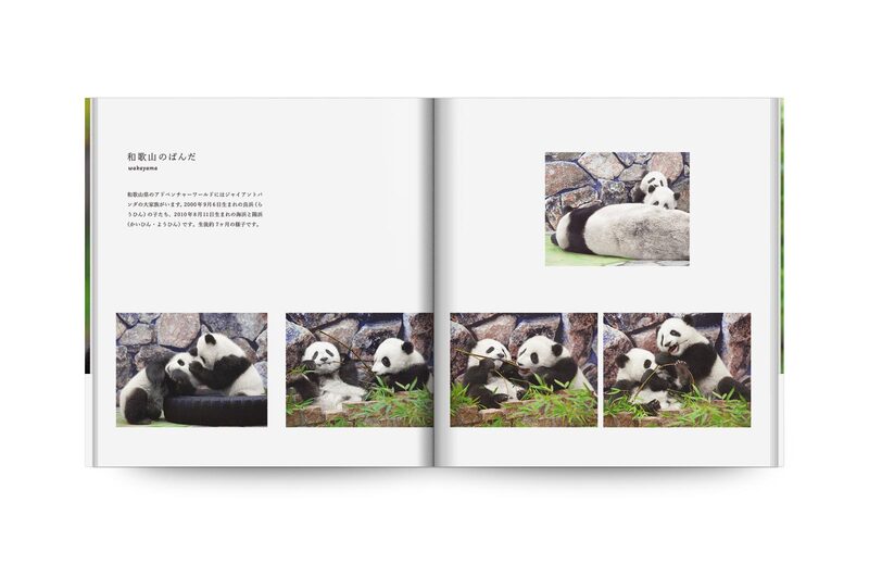Panda - Mitsuaki Iwago | moom bookshop - art books and magazines