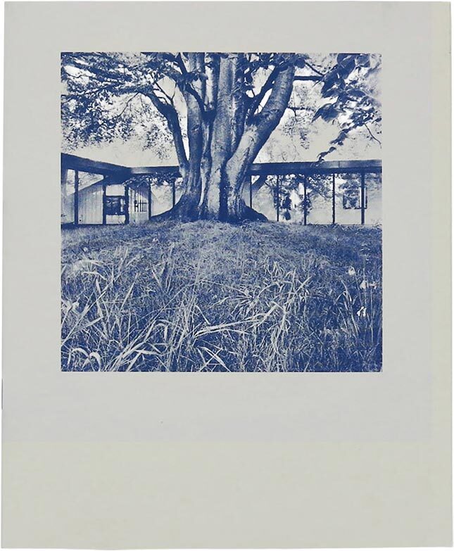 Danimarca 1961 (9788899385248)