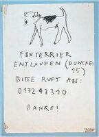 Please Look in the Basement (9789464363425)