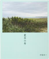 The Boat in the Grass