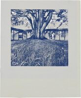 Danimarca 1961 (9788899385248)