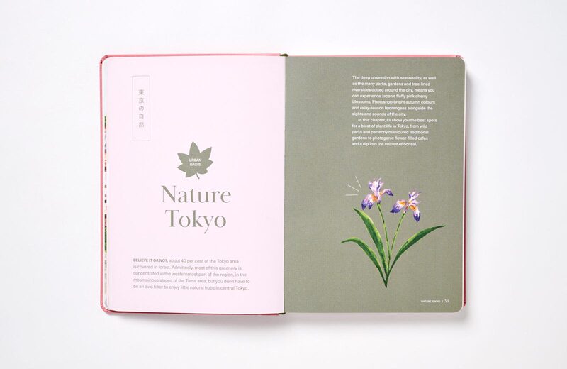 Hidden Japan: A guidebook to Tokyo & beyond - Chiara Terzuolo