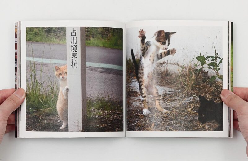 必死すぎるネコ：前後不覚篇- 沖昌之| moom bookshop - 藝術書籍與雜誌