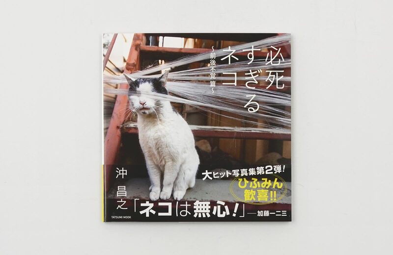 必死すぎるネコ：前後不覚篇- 沖昌之| moom bookshop - 藝術書籍與雜誌