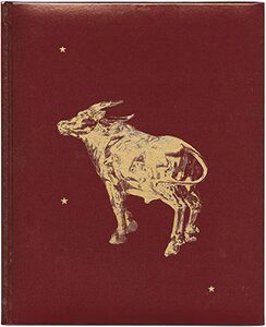 The Guesthouse of Cascades - Wenxin Zhang | moom bookshop - art