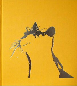 深瀬昌久 Wonderful Days Wonderful Days special edition - 深瀬昌久