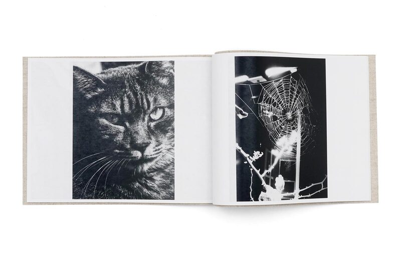 Stray Cats - 森山大道| moom bookshop - 藝術書籍與雜誌 Stray Cats - 森山大道| moom bookshop - 藝術書籍與雜誌