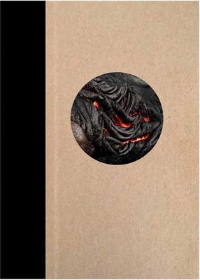 One Picture Book Two #41: Living on Lava (9781590055755)