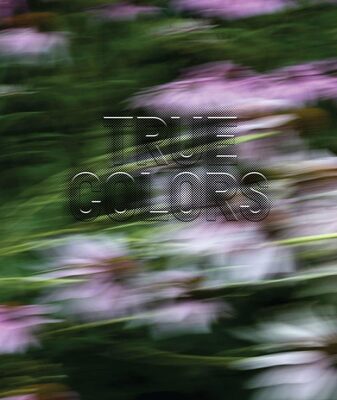 Zora J Murff: True Colors (or, Affirmations in a Crisis) (9781597115179)