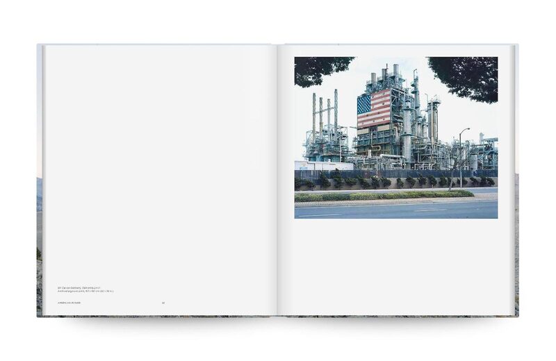 Mitch Epstein: American Nature - Mitch Epstein | moom bookshop