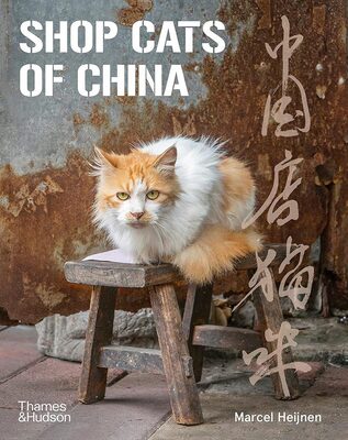 Shop Cats of China (9780500296110)