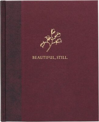 Beautiful, Still. (9781913620615)