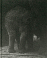 Entendue (9789083612713)