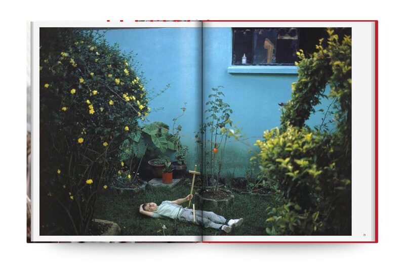 Wild Flowers - Joel Meyerowitz | moom bookshop - art books and