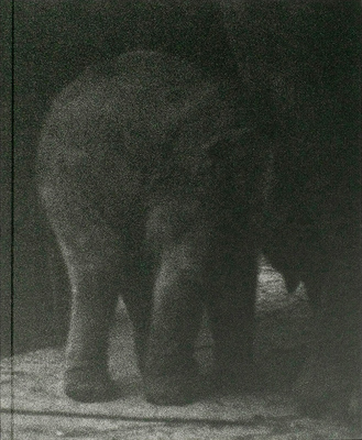 Entendue (9789083612713)