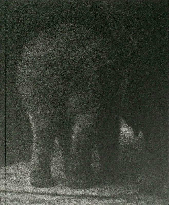 Entendue (9789083612713)