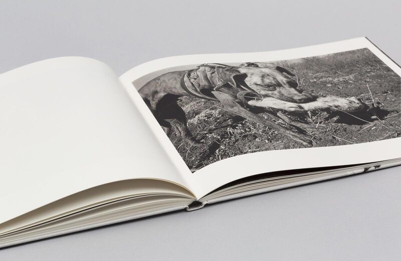 Minutes to Midnight - Trent Parke | moom bookshop - art books and