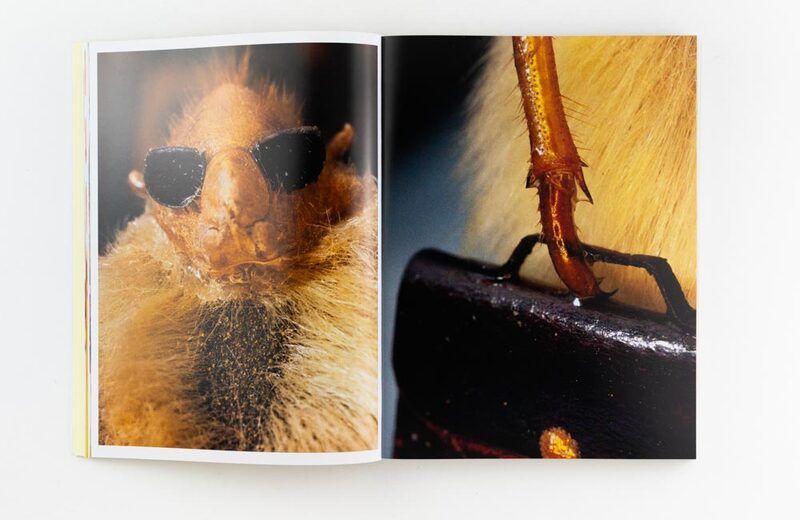 The Art of the Hairy Monkey - Simon Wald-Lasowski | moom bookshop