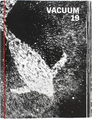 Vacuum 19
