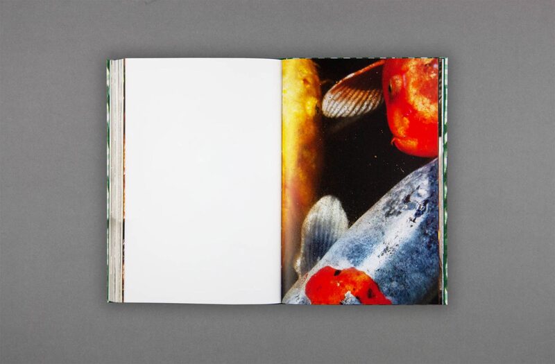 Seabird - Bobby Doherty | moom bookshop - art books and magazines