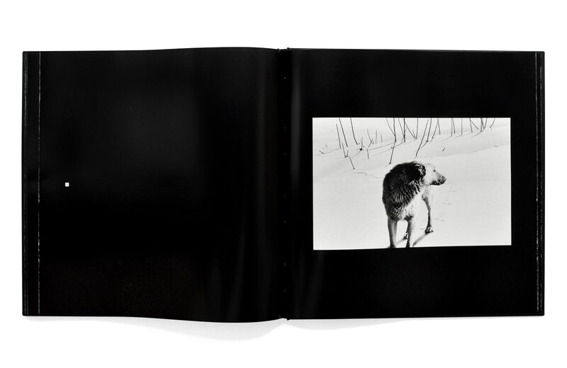 Snow White - Abbas Kiarostami | moom bookshop - art books and