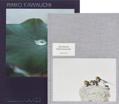 Rinko Kawauchi: Illuminance & Des Oiseaux