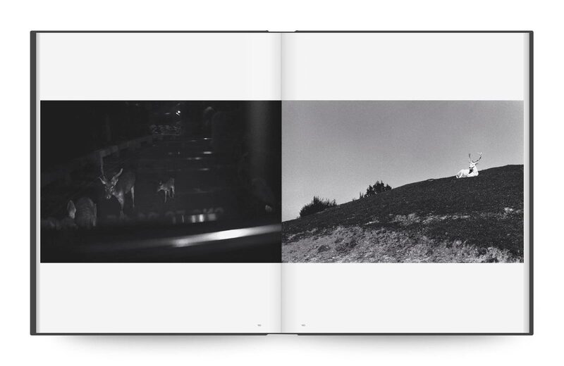 Sakiko Nomura: Tender is the Night - Sakiko Nomura | moom bookshop