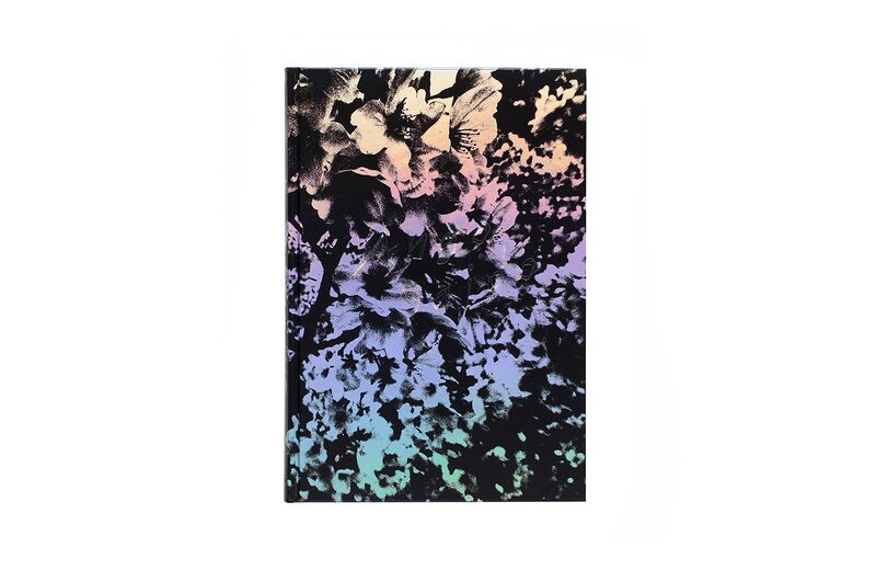 Daido Moriyama: Ango (English Edition) - Daido Moriyama | moom