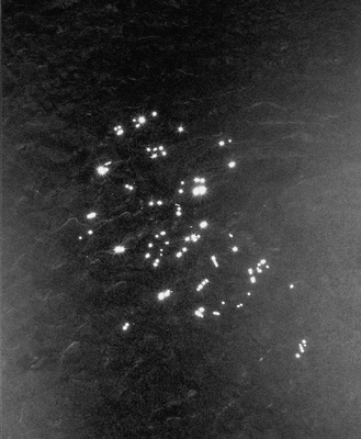 Between the Mountain and the River (9789083451077)