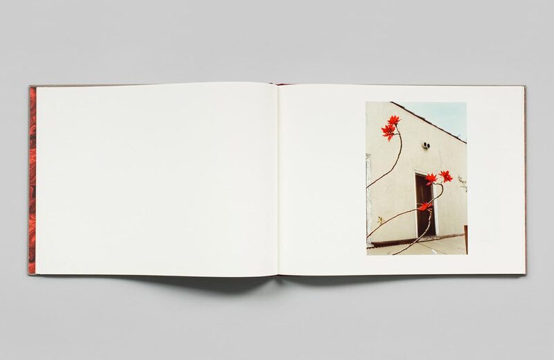Flowers - William Eggleston | moom bookshop - art books and magazines