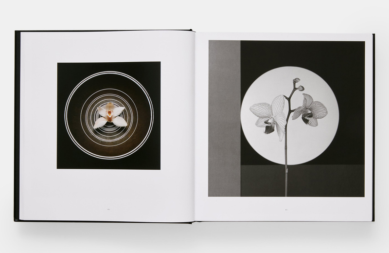 Mapplethorpe Flora: The Complete Flowers - Robert Mapplethorpe