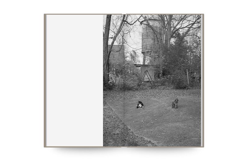 Mark Steinmetz: Low Fi Cats - Mark Steinmetz | moom bookshop - art