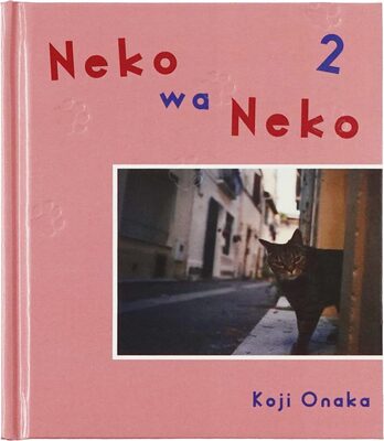 Neko wa Neko 2