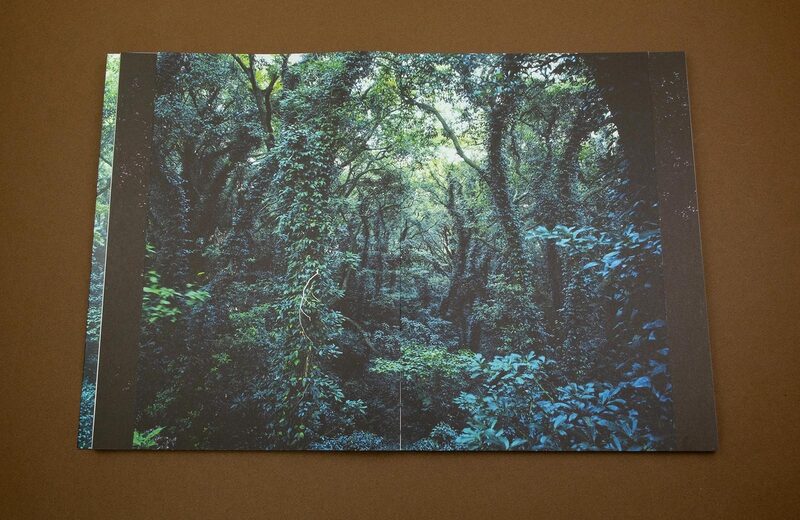 Jejudo - Hyung-Geun Park | moom bookshop - art books and magazines