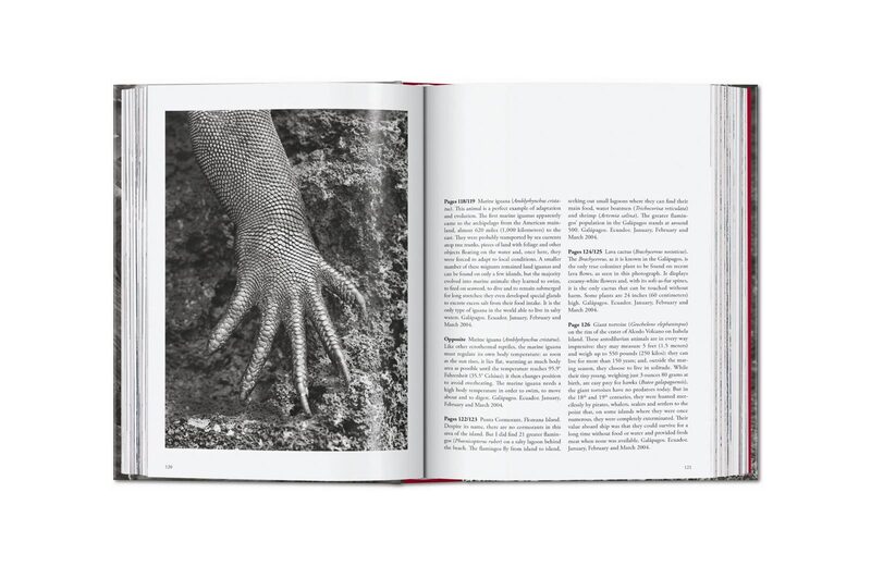 Sebastião Salgado. Genesis - Sebastião Salgado | moom bookshop