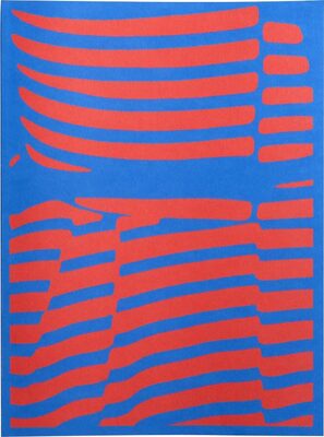 Dazzle (9789490119638)