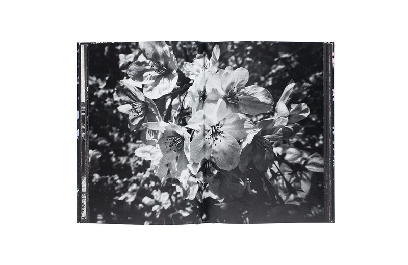 Daido Moriyama: Ango (English Edition) - Daido Moriyama | moom