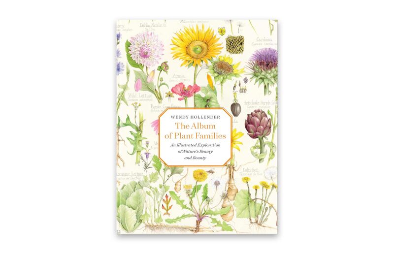 The Album of Plant Families: An Illustrated Exploration of