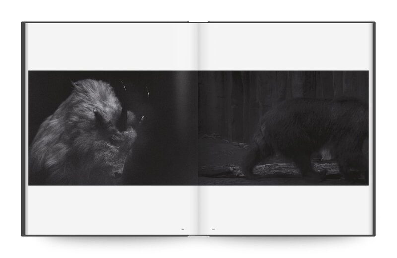 Sakiko Nomura: Tender is the Night - Sakiko Nomura | moom bookshop