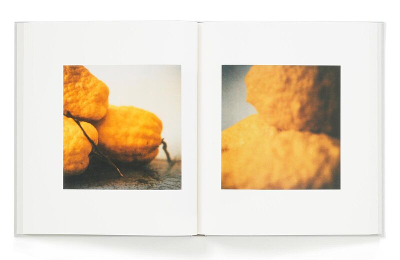 Cy Twombly Photographs: Lyrical Variations - Cy Twombly | moom