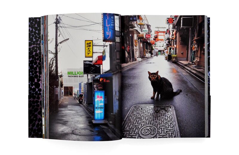 Daido Moriyama in Color 写真集 カラー - 森山大道 | shashasha 写々者 - 写真集とアートブック