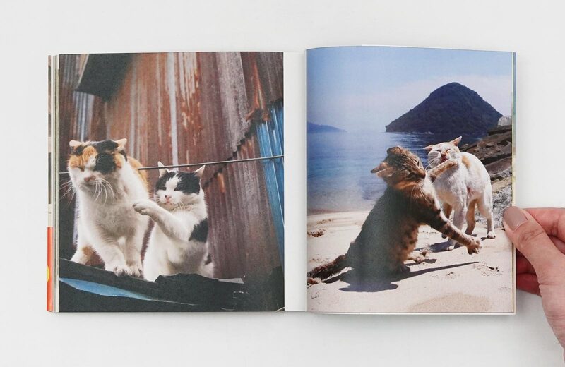 Cats Who Try Too Hard - Masayuki Oki | moom bookshop - art books