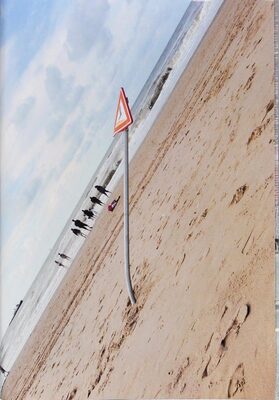 Scheve Palen (9789090333519)