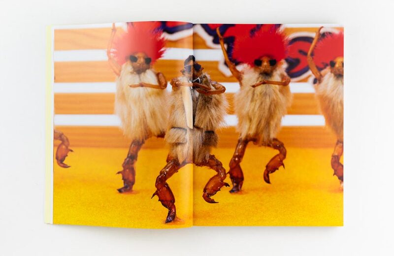 The Art of the Hairy Monkey - Simon Wald-Lasowski | moom bookshop