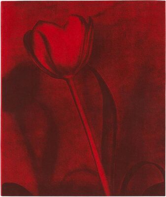 Poppy Jones (9798990911307)