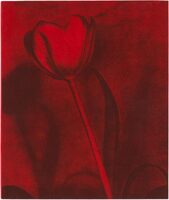 Poppy Jones (9798990911307)