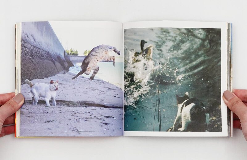 Cats Who Try Too Hard - Masayuki Oki | moom bookshop - art books