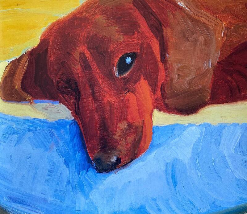 David Hockney's Dog Days - David Hockney | moom bookshop - 藝術